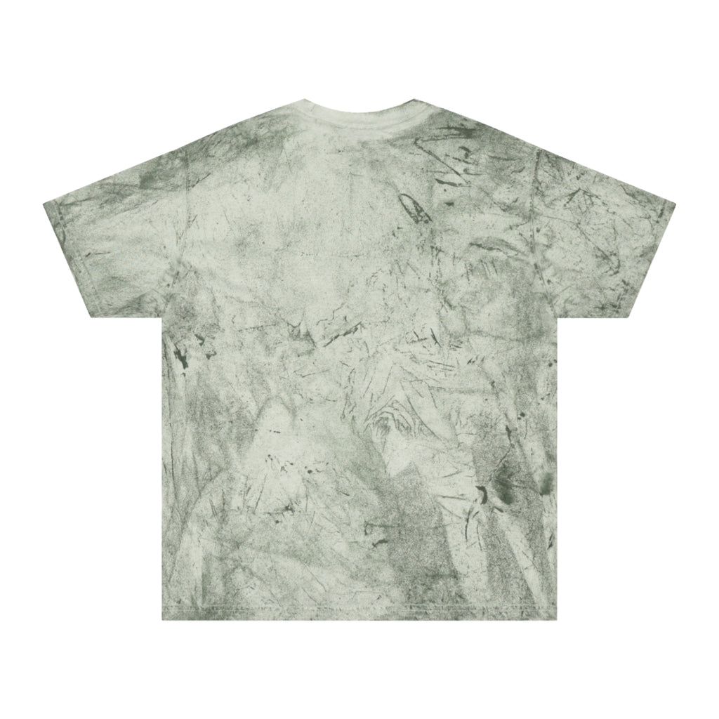 Ash to Ash Butterfly Tee