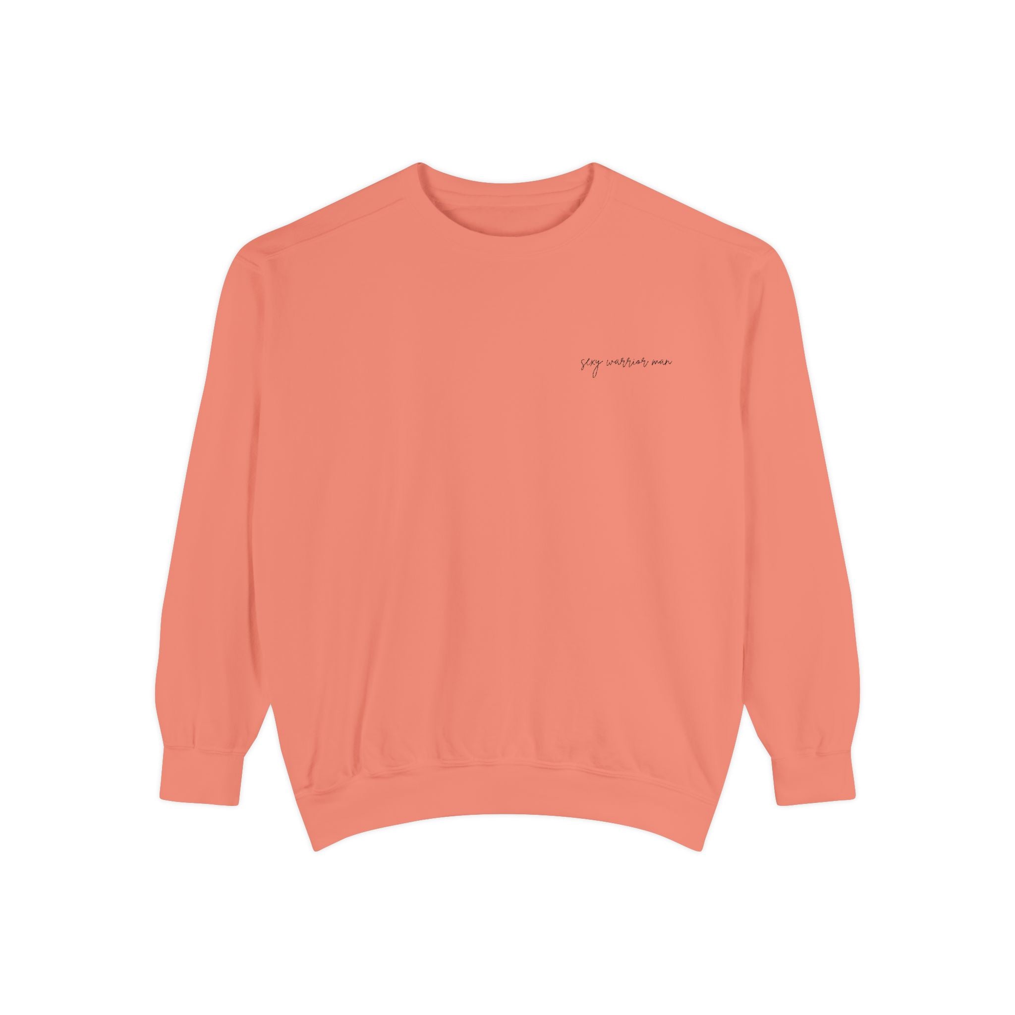 Sexy Warrior Man Embroidered Sweatshirt
