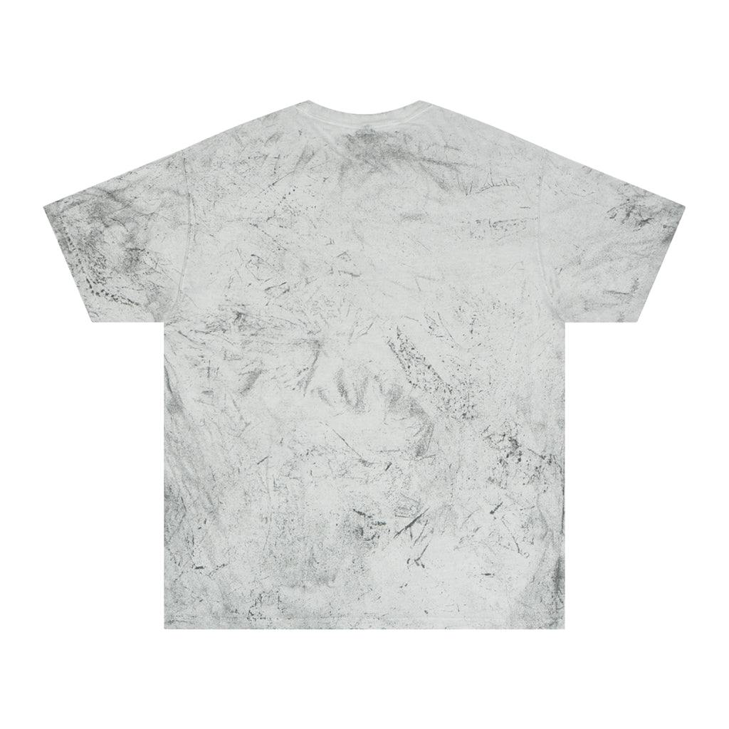 Ash to Ash Butterfly Tee